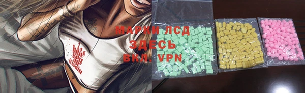 PSILOCYBIN Верея