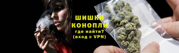 PSILOCYBIN Верея