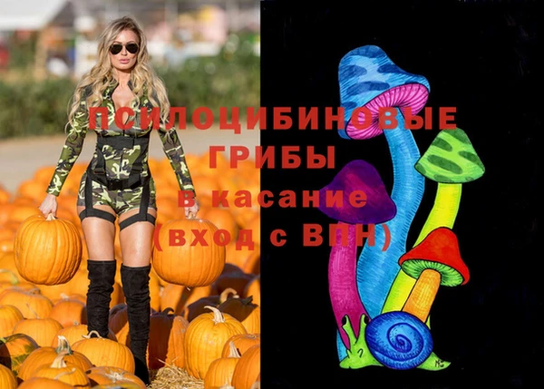 PSILOCYBIN Верея