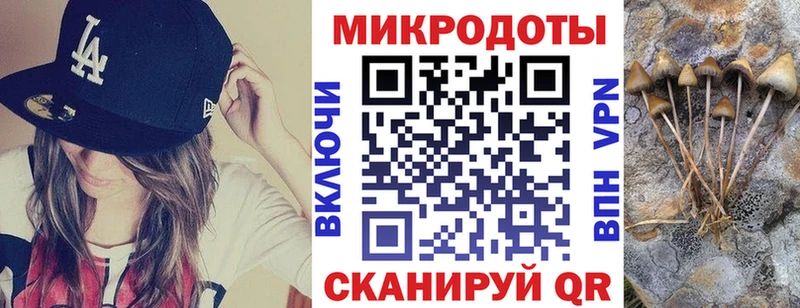 магазин продажи наркотиков  Новомичуринск  Псилоцибиновые грибы мицелий 
